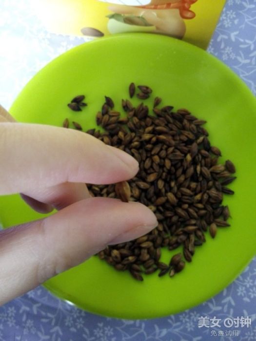 雅大麥2號