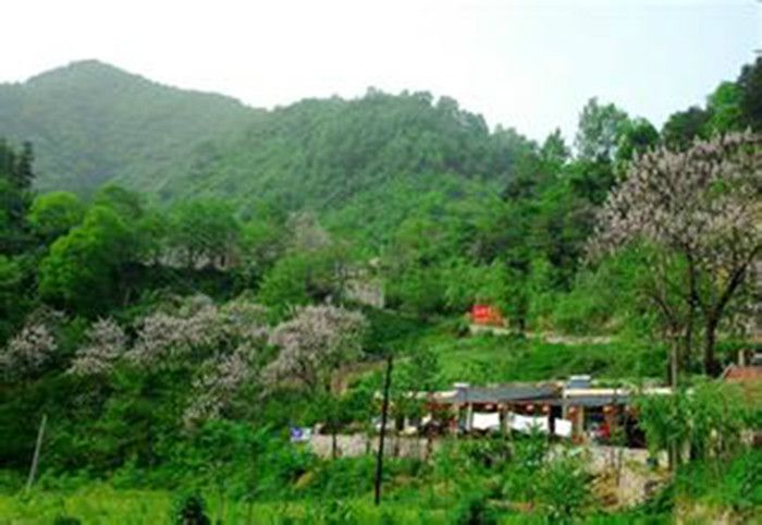 草子坪村 草子坪村