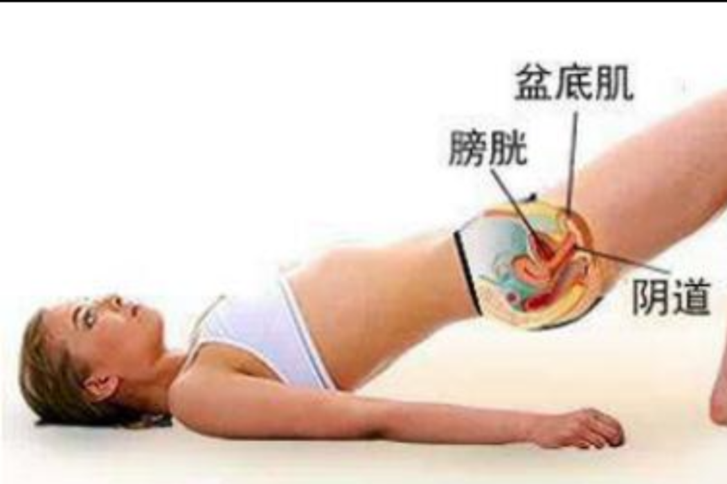 縮陰功 縮陰功