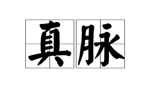 真脈 真脈