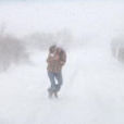 狂風雪 狂風雪
