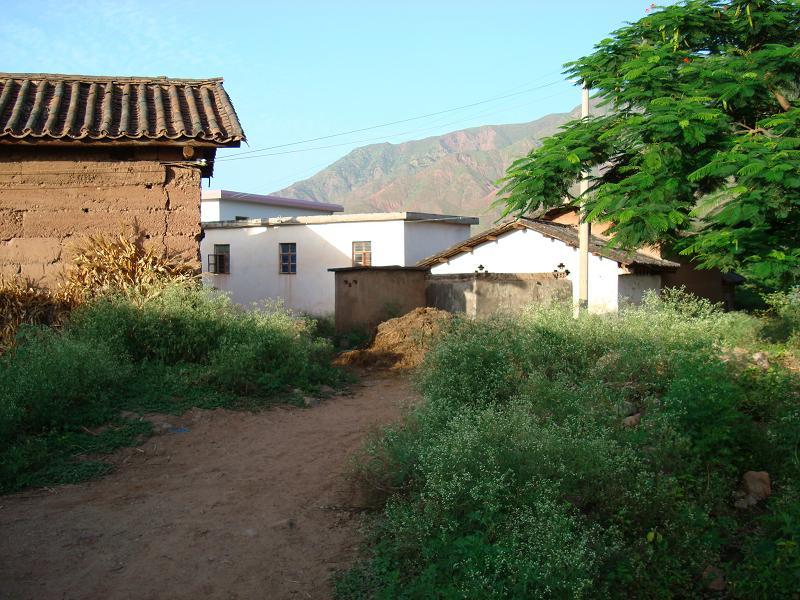 挨剛村 挨剛村