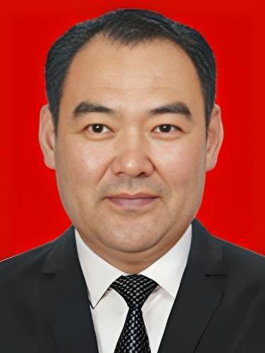 金平(山東省濟寧市任城區委常委、副區長) 金平(山東省濟寧市任城區委常委、副區長)