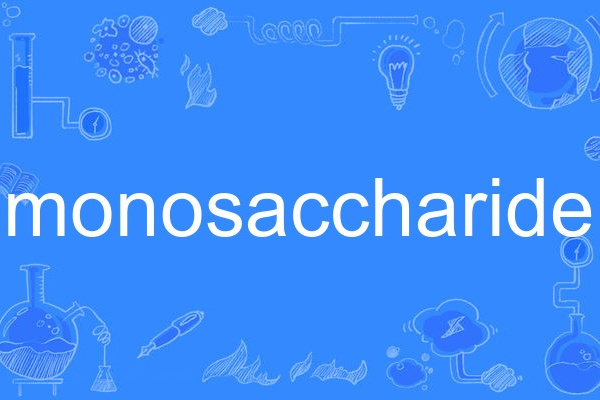 monosaccharide monosaccharide