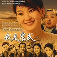 我是農民(2004年中國電視劇)