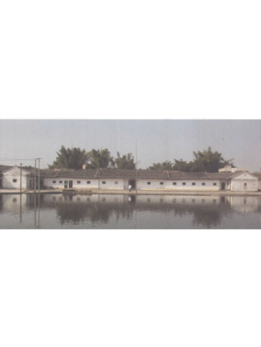 天錫圍 天錫圍