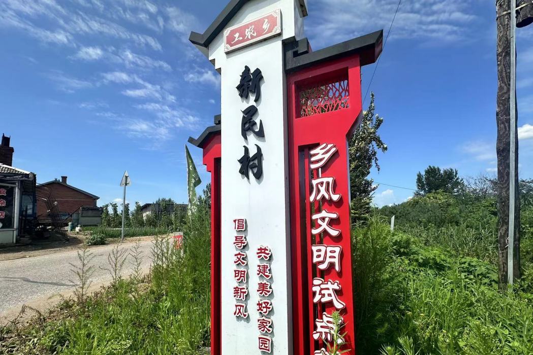 新民村(黑龍江省伊春市鐵力市工農鄉下轄村)