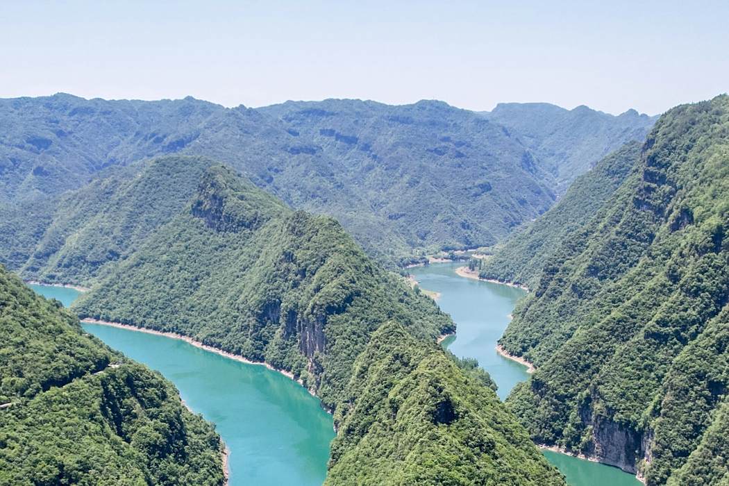 龍大彎 龍大彎