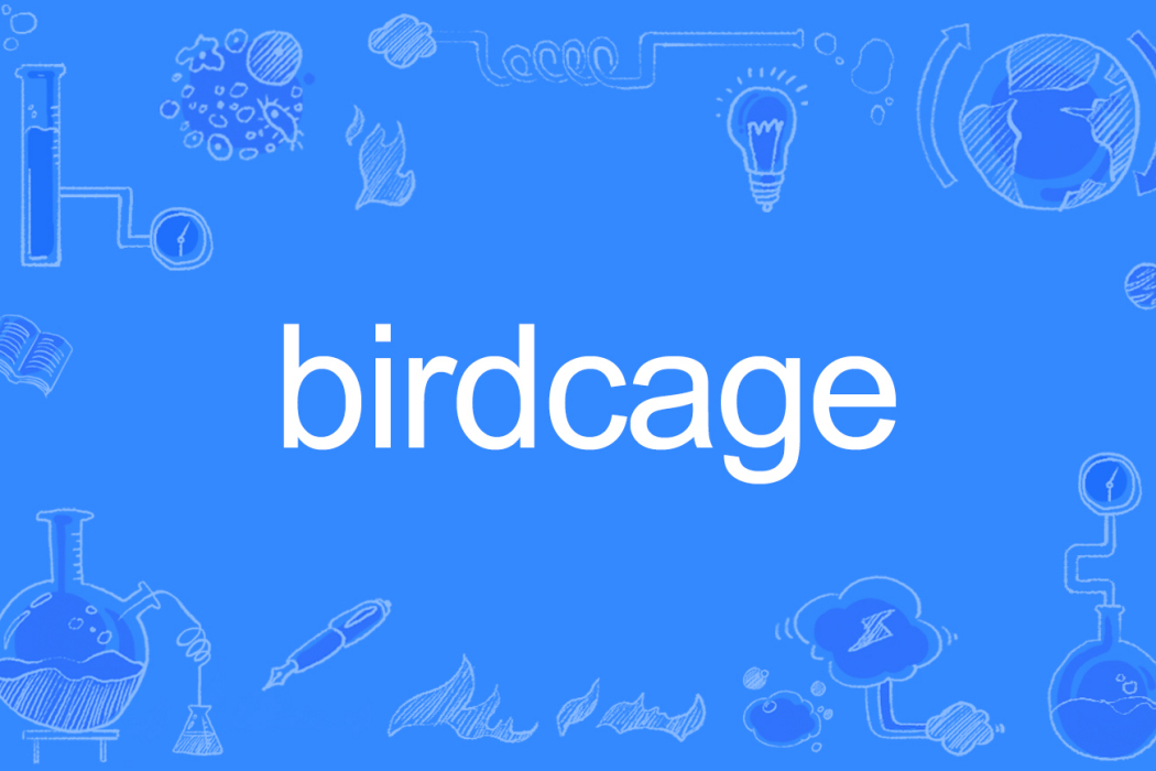 birdcage birdcage