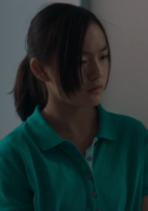 嘉年華(2017年文晏執導的中國電影)