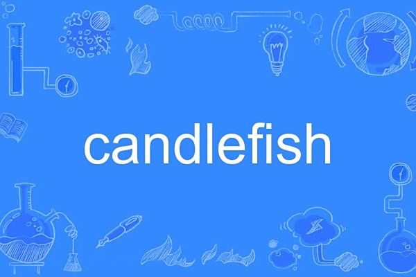 candlefish candlefish