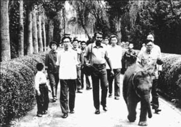 小象米杜拉走進北京動物園