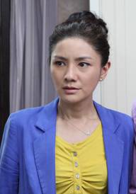 孩奴(2013年沙溢主演電視劇)