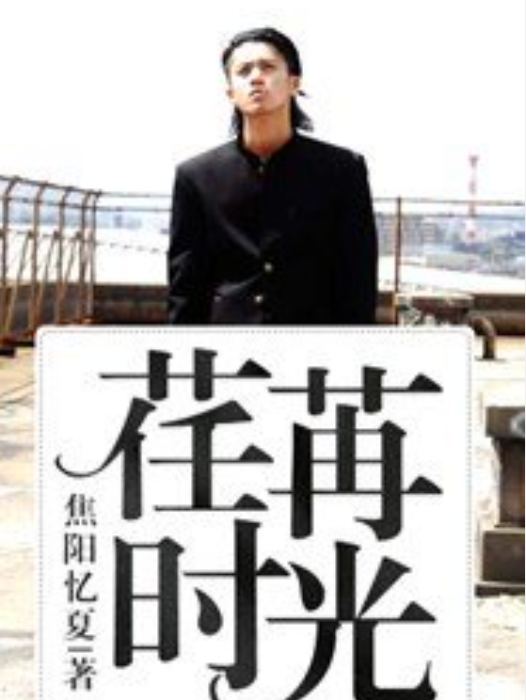 荏苒時光(焦陽憶夏所著小說) 荏苒時光(焦陽憶夏所著小說)