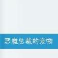 桃花心沐 桃花心沐