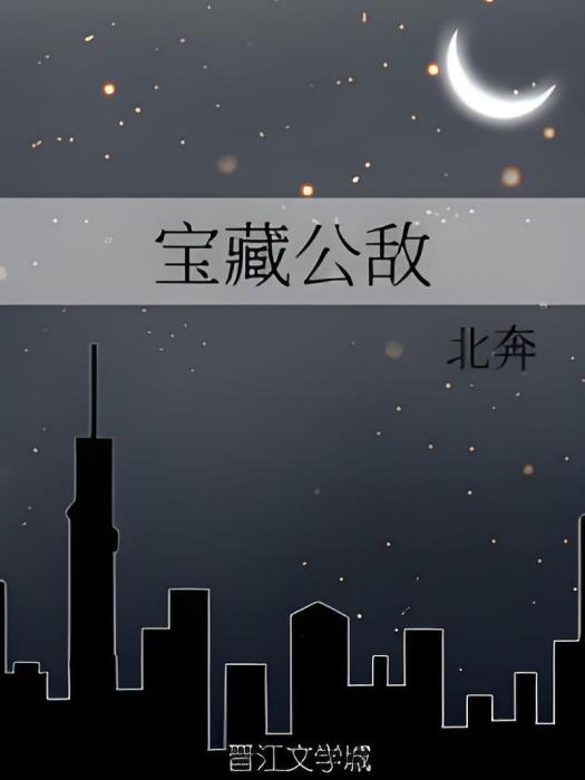 寶藏公敵 寶藏公敵