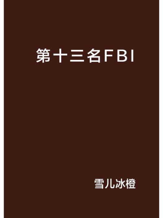 第十三名FBI 第十三名FBI