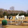 白象園 白象園