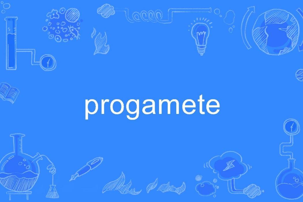 progamete progamete