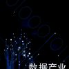 數據產業 數據產業