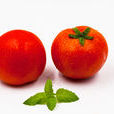 西紅柿(西紅柿果實)
