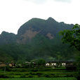 大布鄉