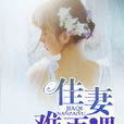 佳妻難再遇