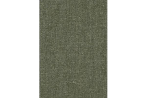 平樂縣誌(1966年成文出版社出版的圖書) 平樂縣誌(1966年成文出版社出版的圖書)