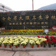 雲南省大理衛生學校