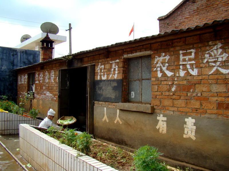 麻芝科村 麻芝科村