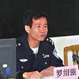 羅紹強 羅紹強