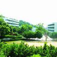 阜東村(廣東省中山市阜沙鎮下轄村) 阜東村(廣東省中山市阜沙鎮下轄村)