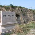 桐林遺址 桐林遺址
