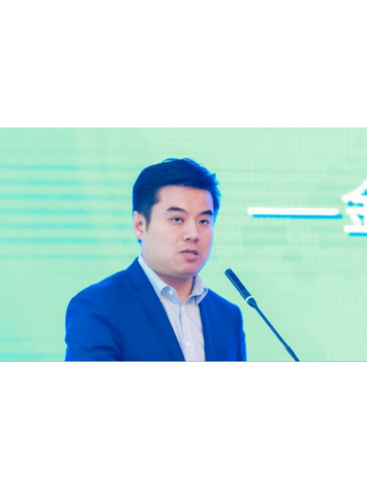 張震(大家資產管理有限責任公司副總經理) 張震(大家資產管理有限責任公司副總經理)