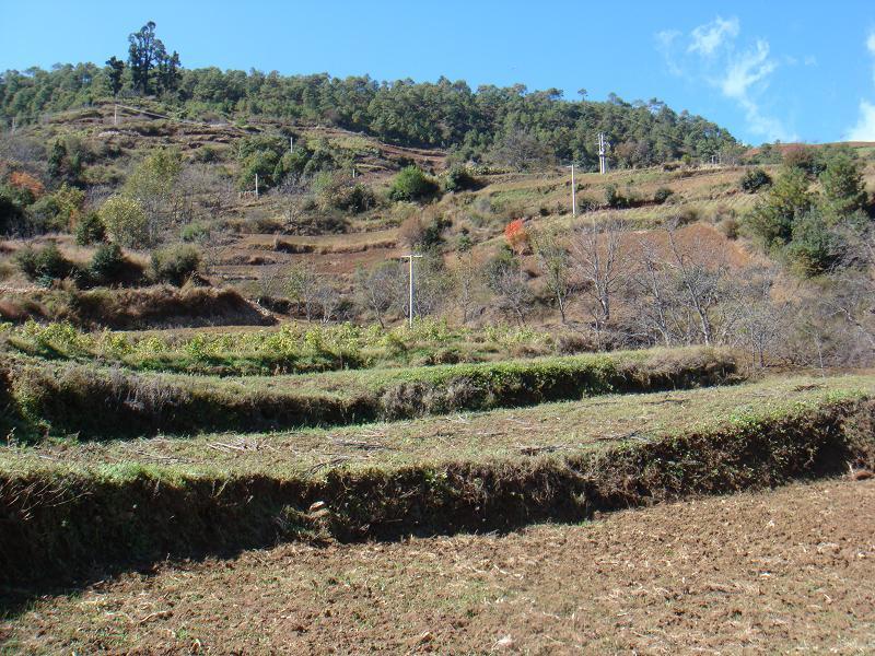 拉滿里村 拉滿里村