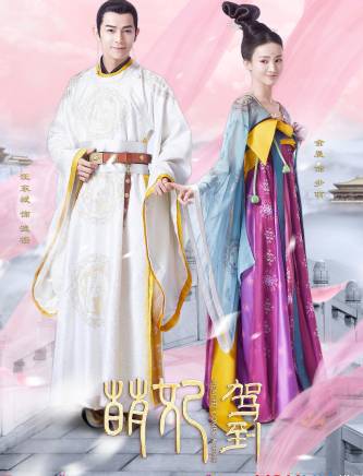 王毅凡 王毅凡
