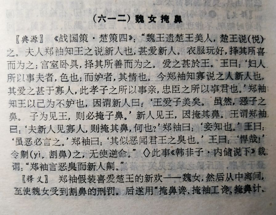 魏女掩鼻 魏女掩鼻