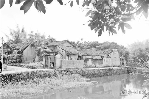 饒思明 饒思明