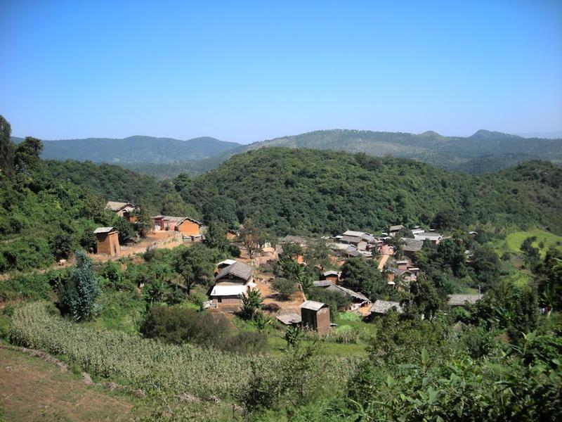 中底鮓村 中底鮓村