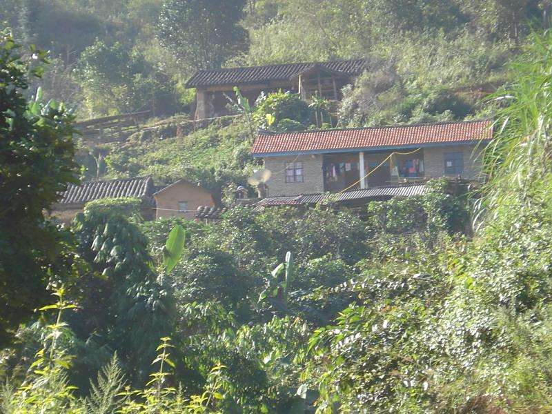 橄欖箐村