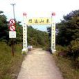 東山法門 東山法門