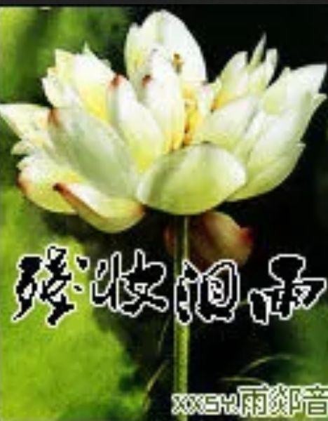 殘妝淚雨 殘妝淚雨