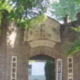 山東岸堤鎮 山東岸堤鎮