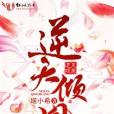 逆天傾凰 逆天傾凰