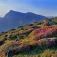 馬龍村(雲南宣威市文興鄉下轄村) 馬龍村(雲南宣威市文興鄉下轄村)
