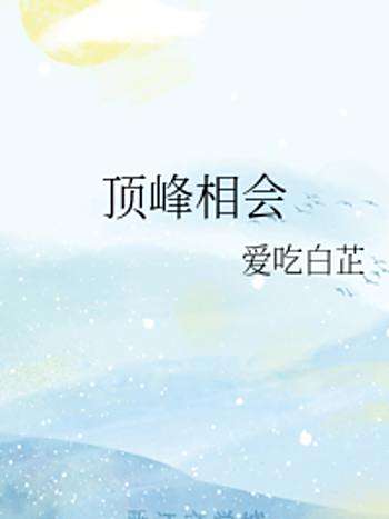 頂峰相會