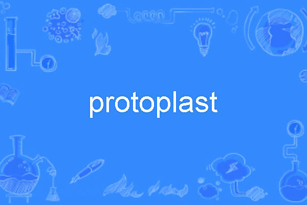 protoplast protoplast