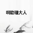 啊助理大人 啊助理大人
