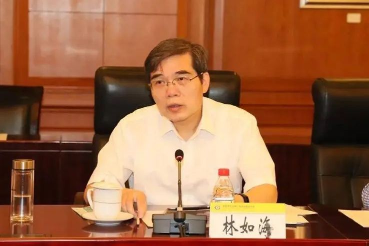 林如海(有色金屬技術經濟研究院黨委書記、執行董事) 林如海(有色金屬技術經濟研究院黨委書記、執行董事)