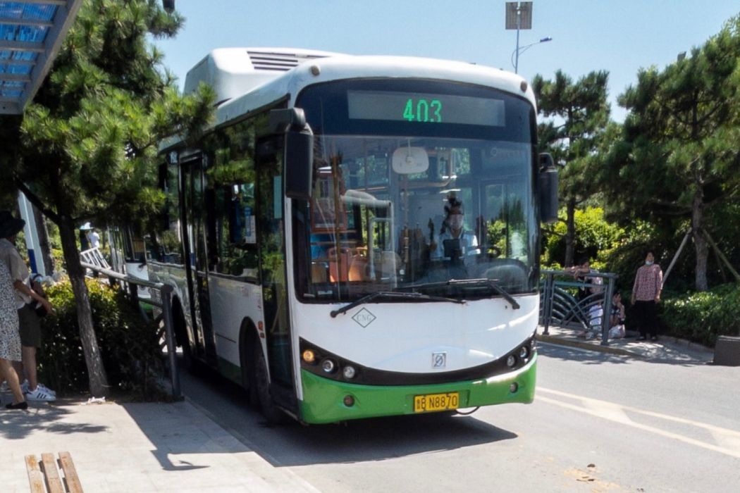 青島公交403路 青島公交403路